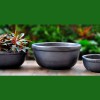 TT Pottery