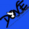 Dove Designs