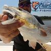 Charleston Fishing