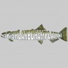 iFishLake Champlain Charters