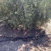 Pajaro Valley Irrigation