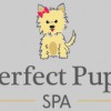Perfect Pups Spa