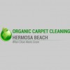 Green Steam Carpet Cleaning