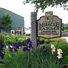 Miracle Farms Landscape Contractors