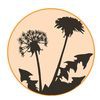 Petaluma Community Acupuncture