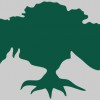 The Animal Hospital & Pet Resort At Southwood