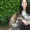 My Dog Walker & Pet Resort