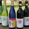 Snow Farm Vineyard