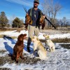 Diamond R Kennels