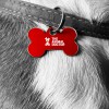 Associated Equine