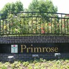 Primrose Alzheimers