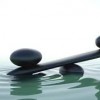Tree Of Life Acupuncture & Wellness