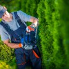 B & L Tree Service