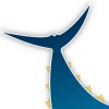 Labrador Fishing Charters