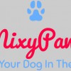 MixyPaws