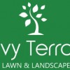 Ivy Terra Lawn & Landscape