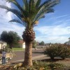 ZPZ Landscaping