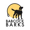 Babcock Barks