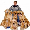 Hand-in-Paw Training & Boarding Kennel