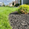 Canyon Landscaping