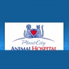 Plant City Animal Hospital