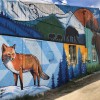 Camber Brewing