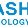 Flash Technology
