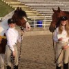 L C Equestrian