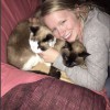 Bay Veterinary Clinic