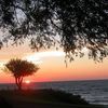 Daisy Barn Campground