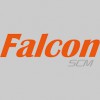 Falcon Logistics Global