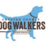 Chester County Dog Walkers