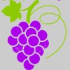 Grapes Of Taste Wine Shop