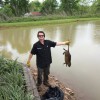 Pest Team Colorado Springs