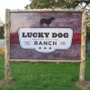 Lucky Dog Daycare Ranch
