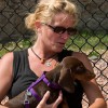 The Pet Nanny