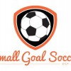 Small Goal Soccer