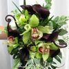 Flowers Tommy Luke