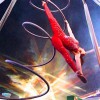 Rainbow Circus Arts