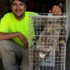The Critter Man