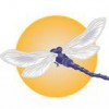 Dragonfly Reiki