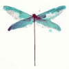 Dragonfly Tax