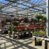 Donahues Greenhouse
