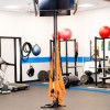 Bloom Physical Therapy