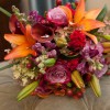 Bloom