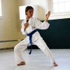 Ask Martial Arts