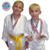 Okinawan School Of Karate