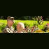 American Armed Forces & Mutual Aid Association