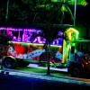 Anaheim Party Bus Rental