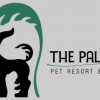 The Palms Pet Resort & Spa